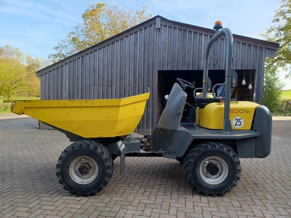Wacker Neuson 3001, 2019